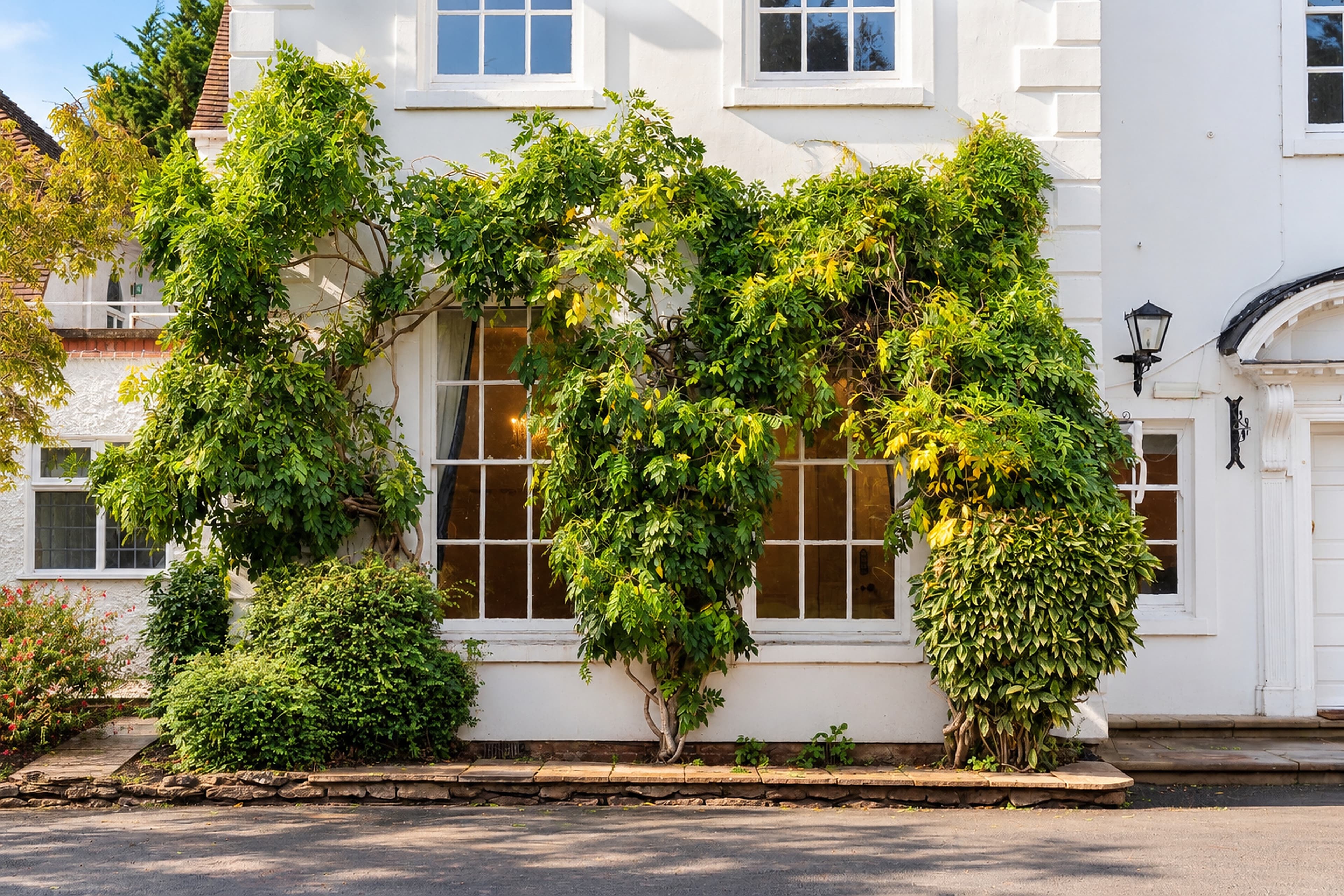 Climbing greenery surrounding Longbridge Manor’s tall ground-floor windows, with warm light visible inside