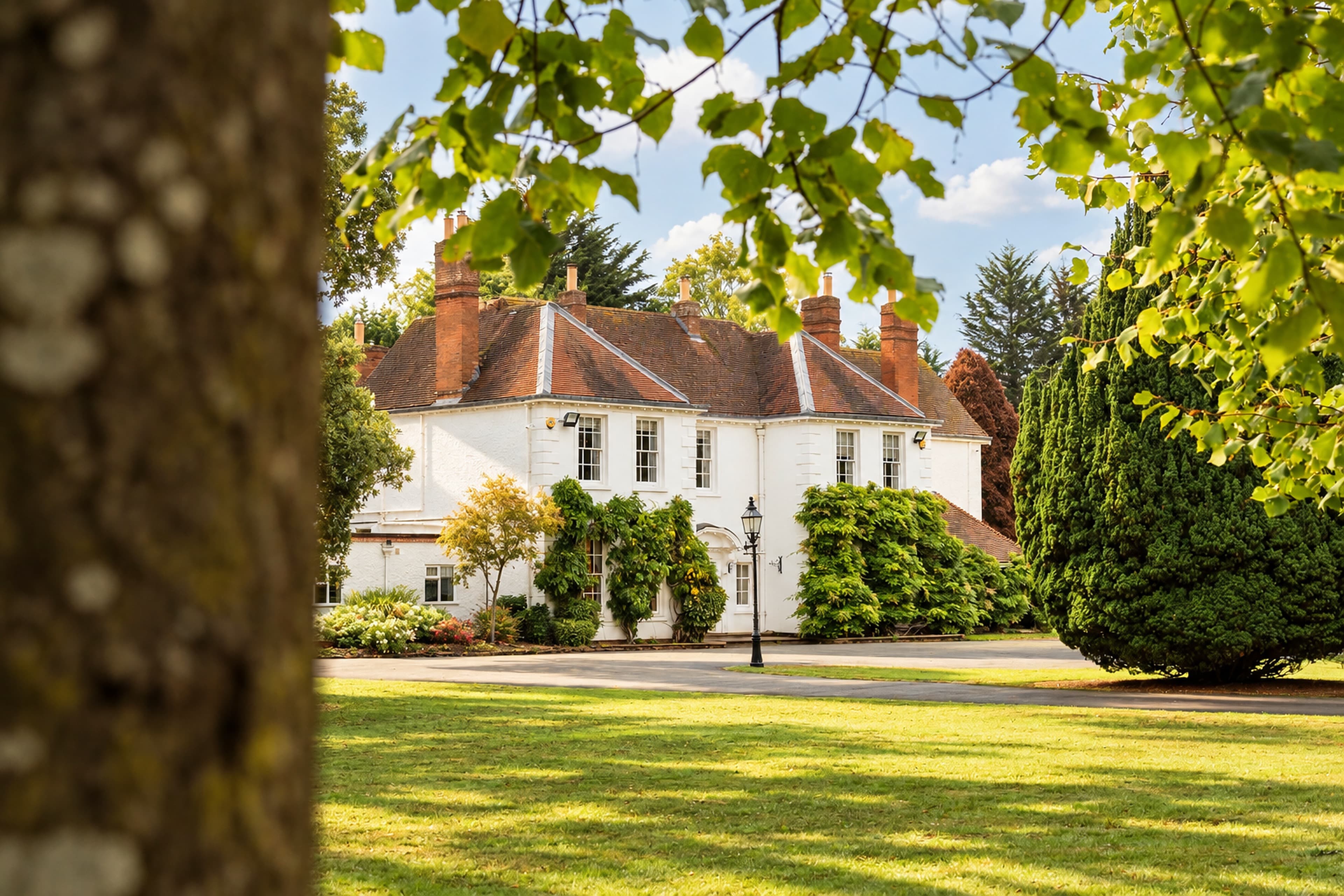 Longbridge Manor viewed across the lawn beneath a leafy canopy, with a tree trunk in the foreground and a large evergreen beside the house