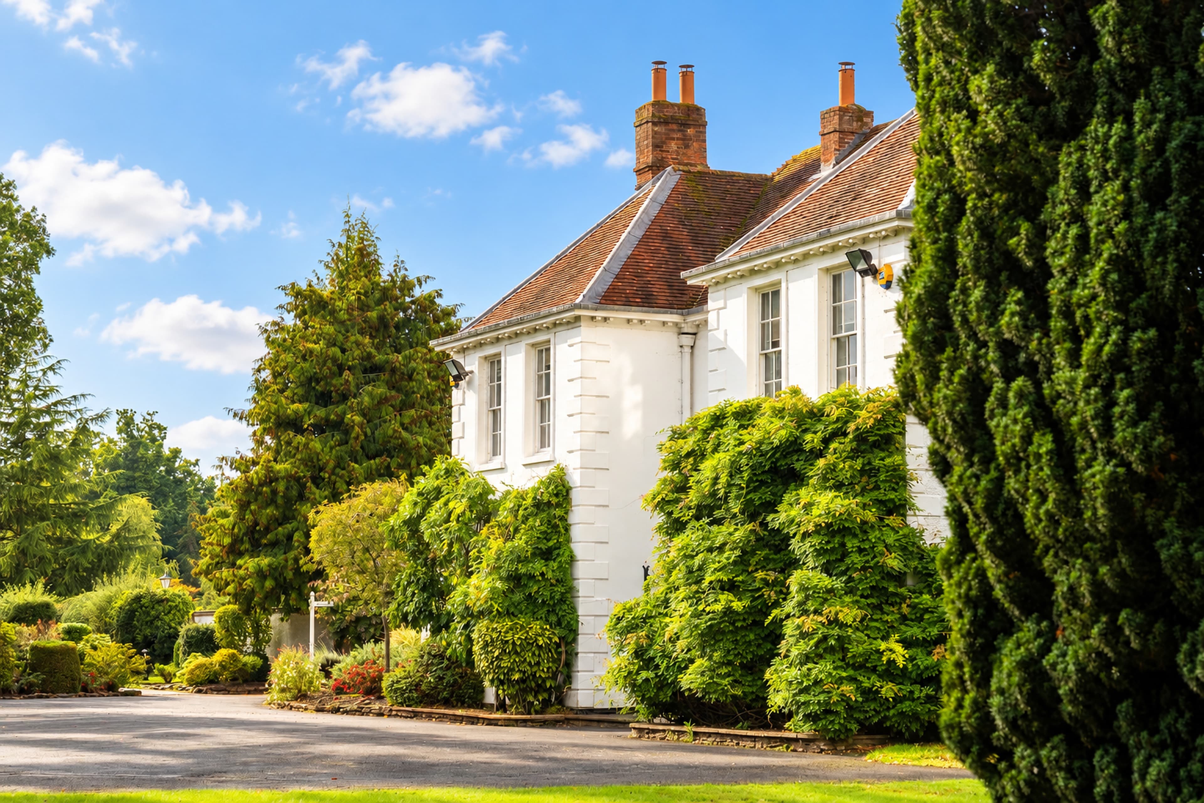 An oblique view along Longbridge Manor’s green-covered façade, framed by a large evergreen and planted garden borders